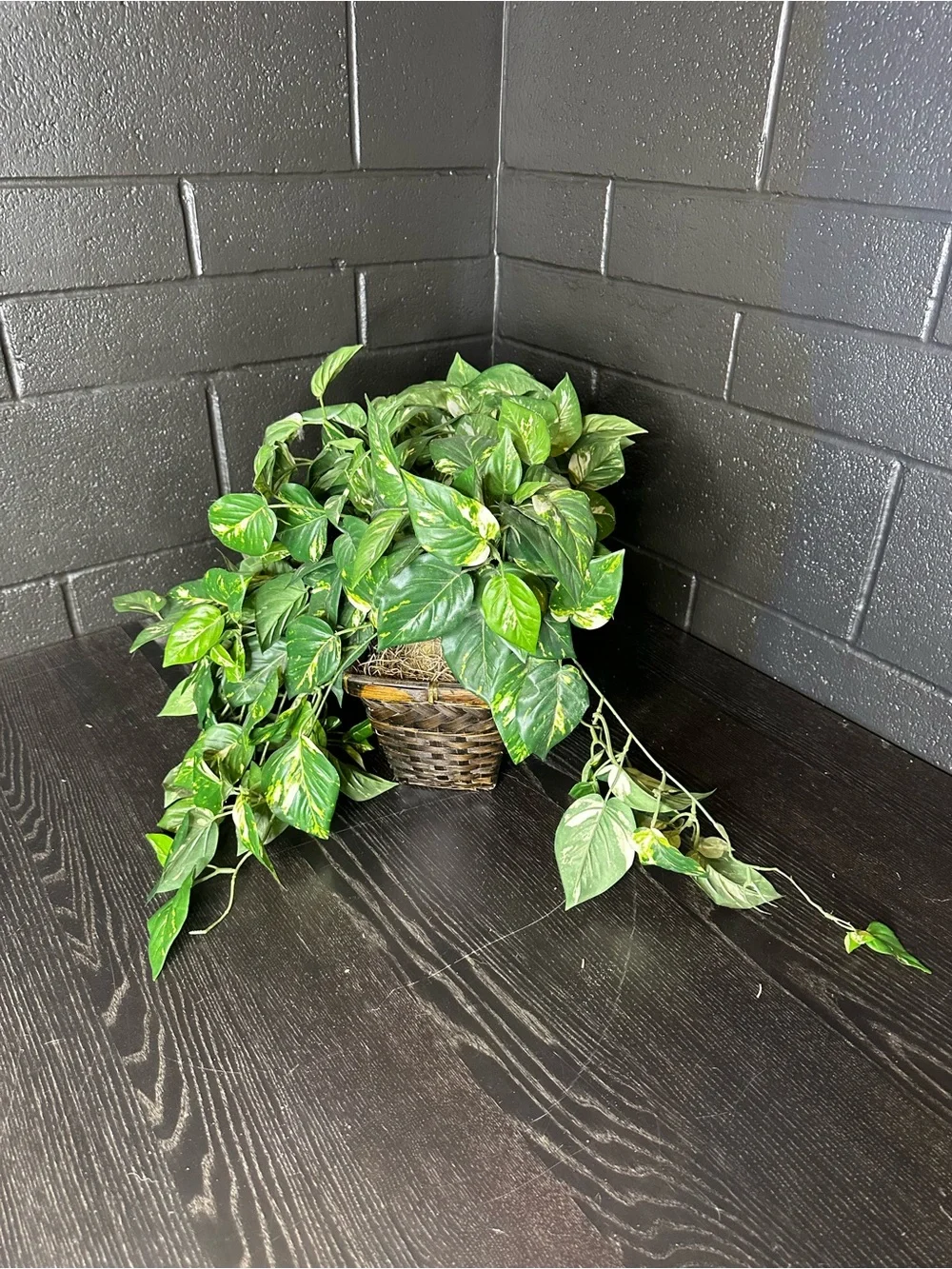Faux Green Trailing Houseplant in Brown Woven Planter Basket